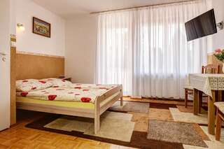 Отели типа «постель и завтрак» Andrzejówka Ястшембя-Гура Двухместный номер с 1 кроватью-2